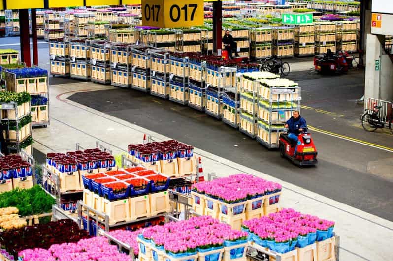 Aalsmeer: Flower Auction Royal Flora Holland Entry Ticket - Key things to know before you go