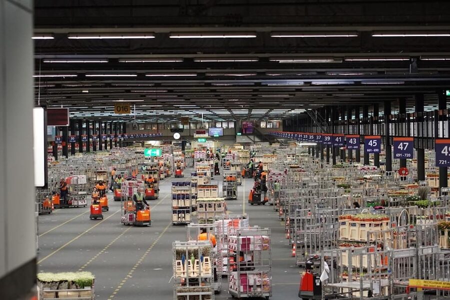 Aalsmeer: Flower Auction Royal Flora Holland Entry Ticket - How to get more from the audio guide