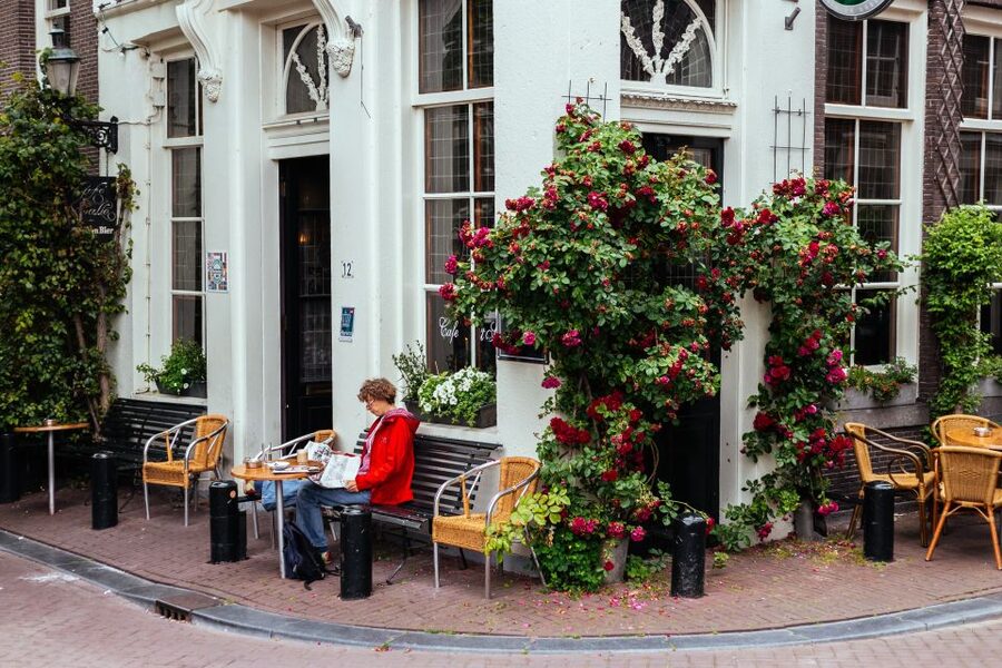 Amsterdam: 1.5-Hour Private Kick-Start Tour with a Local - Booking timing and practical preparation