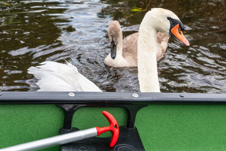 Amsterdam: 2-Hour Guided Canoe Trip - Should you book the Watergang canoe trip?
