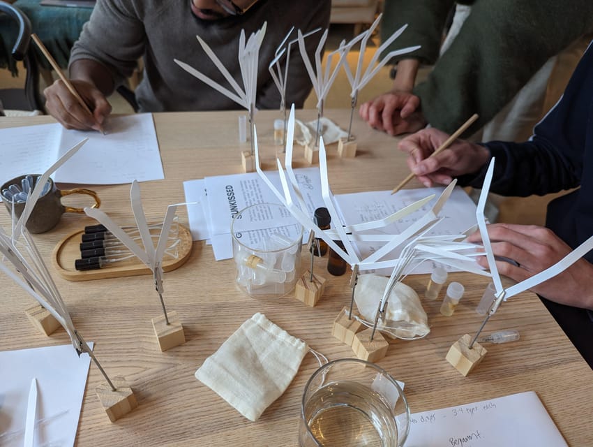 Amsterdam: 3-Hour Mindful Perfume-Making Workshop - The 90-minute introduction to perfume