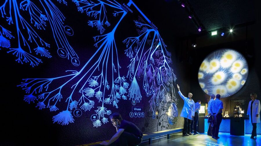Amsterdam: ARTIS-Micropia Microbe Museum Entry Ticket - Is the museum good value at $21?