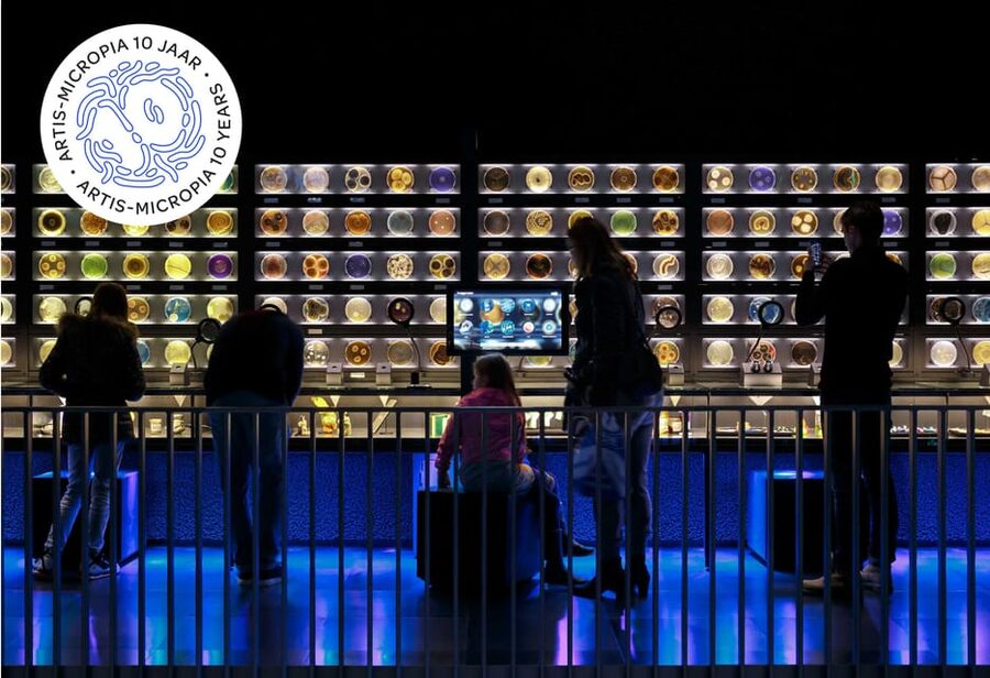 Amsterdam: Artis Royal Zoo & ARTIS-Micropia Combo Ticket - From Asian elephants to African penguins