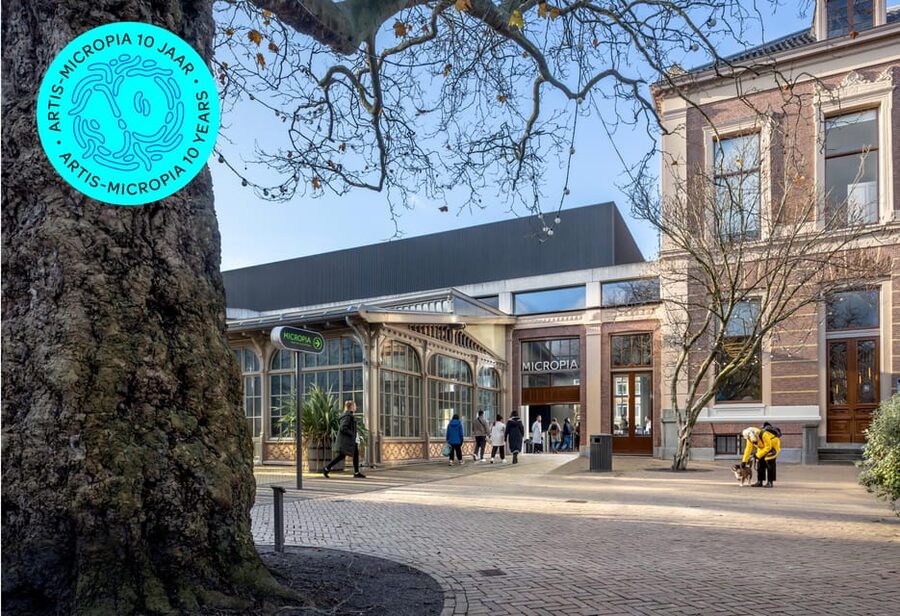 Amsterdam: Artis Royal Zoo & ARTIS-Micropia Combo Ticket - Madagascar, lemurs, turtles, and small-clawed otters