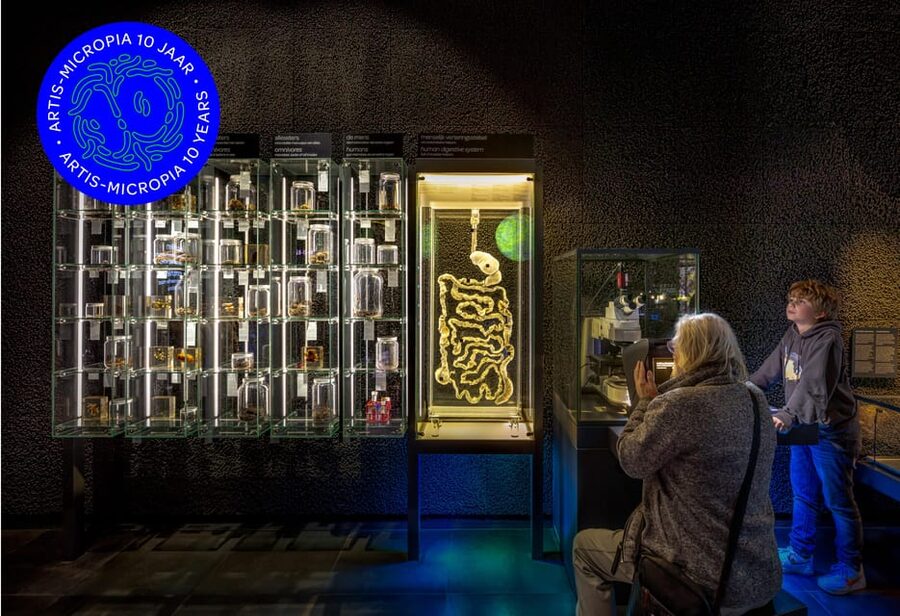 Amsterdam: Artis Royal Zoo & ARTIS-Micropia Combo Ticket - How to plan the Micropia time slot