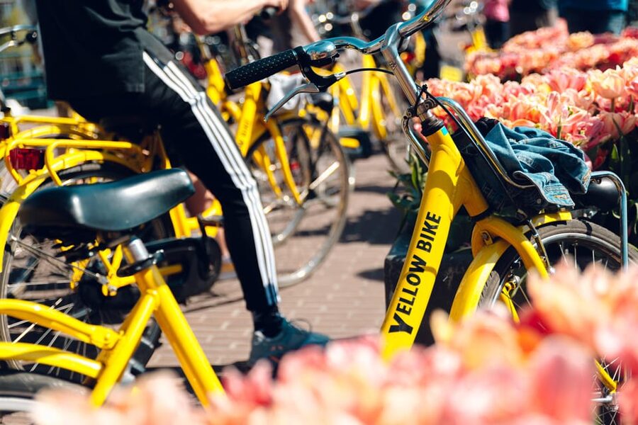 Amsterdam Bike Rental: Central Station & City Center - Understanding the brakes, locks, and deposit