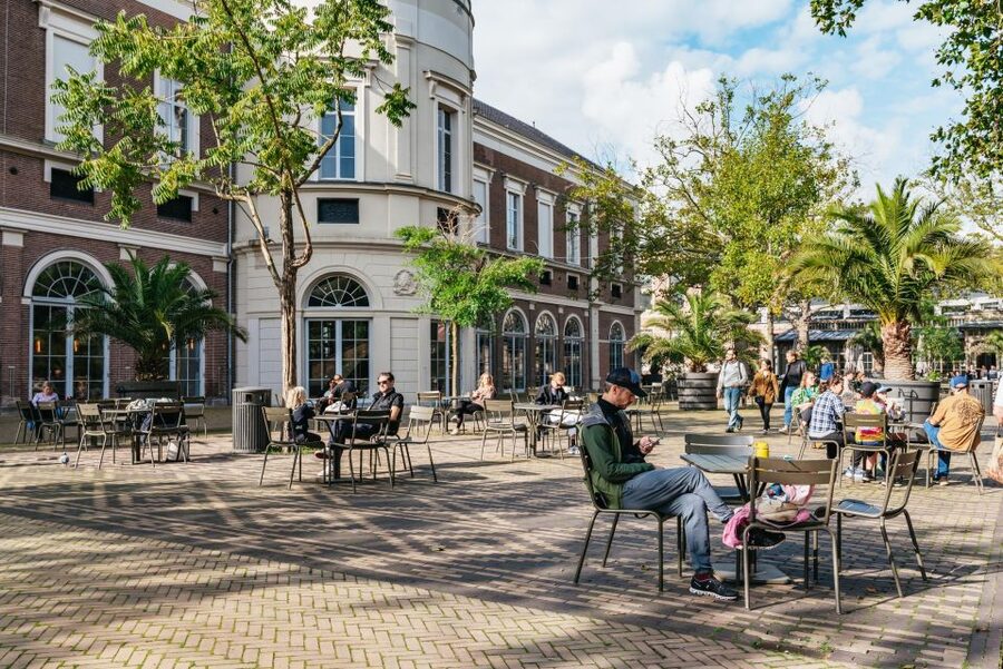 Amsterdam: Bike Tour with Optional Cruise in Small-Group - Price, group size, and practical value