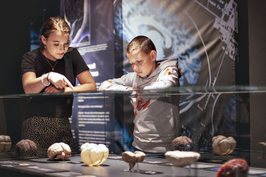 Amsterdam: Body Worlds Exhibition and Canal Cruise - Who will enjoy this pairing most?