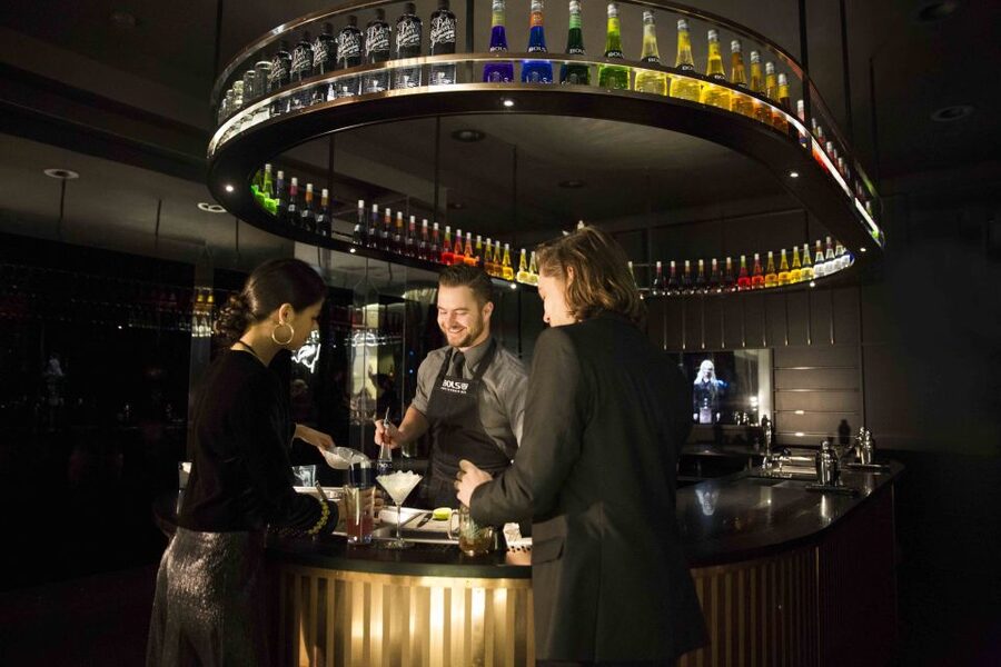 Amsterdam: Bols Cocktail Experience and Cocktail Workshop - Who Should Book This Experience