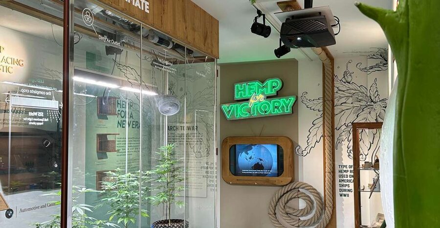 Amsterdam: Cannabis Museum Entry Ticket - Key things to know before visiting