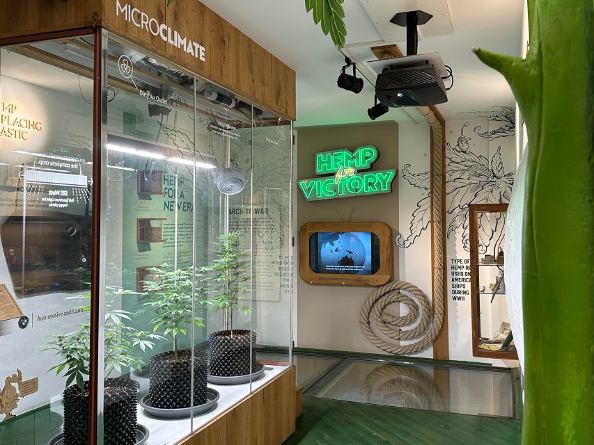 Amsterdam: Cannabis Museum Entry Ticket - What the Cannabis Museum is really trying to explain