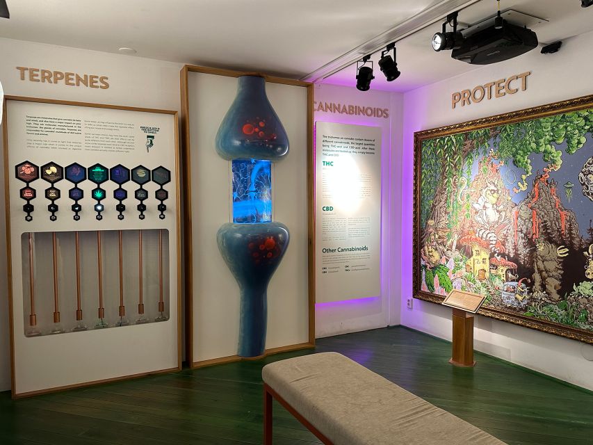 Amsterdam: Cannabis Museum Entry Ticket - Hemp, medicine, food, and everyday products