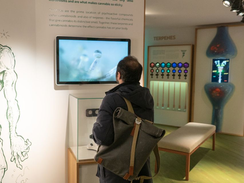 Amsterdam: Cannabis Museum Entry Ticket - The three-floor route, from cultivation to modern Amsterdam