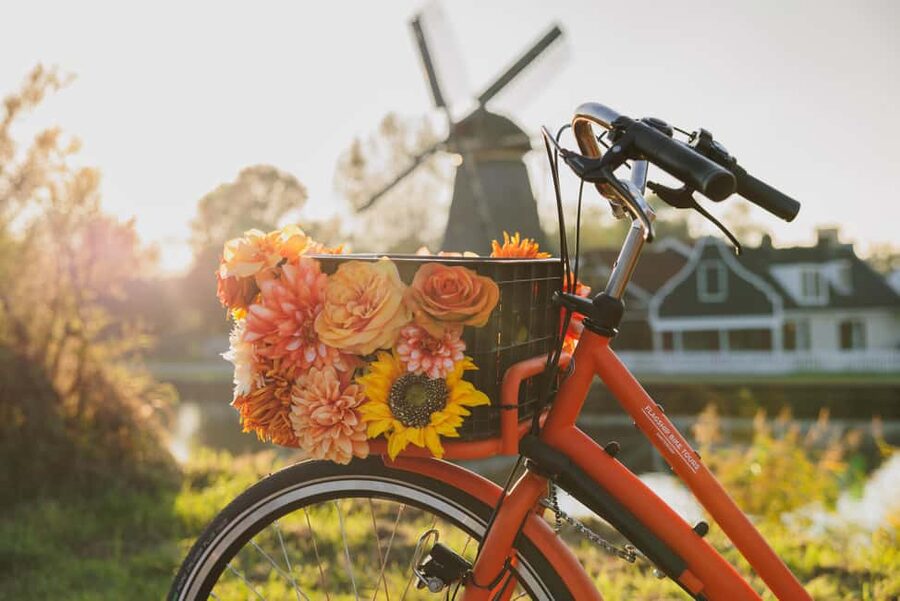 Amsterdam: Cheese, Windmill & Countryside Bike Tour - Meeting the Farm Animals and Tasting Local Cheese