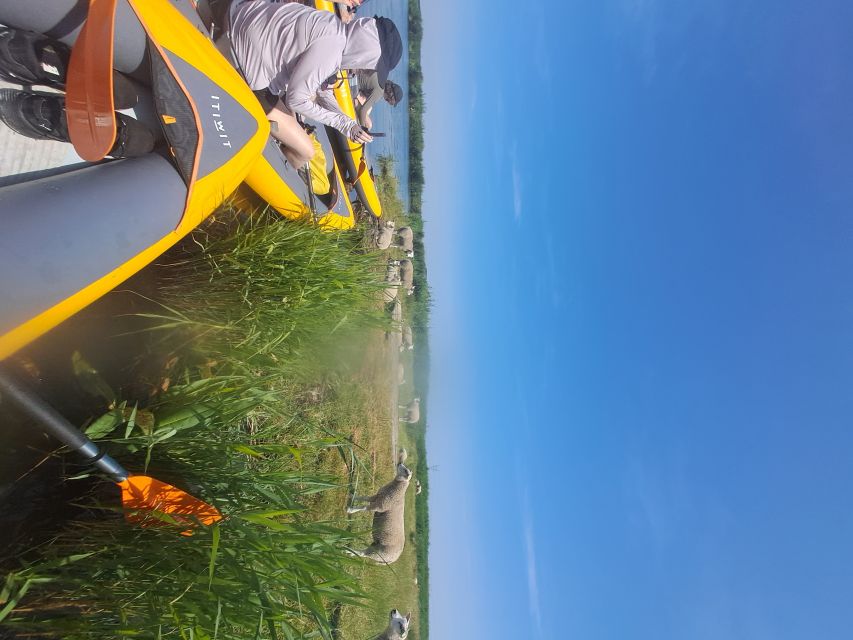 Amsterdam: Countryside Bike and Kayak Guided Tour - Who Will Enjoy This Five-Hour Outing