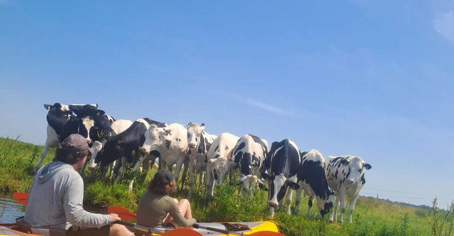 Amsterdam: Countryside Bike and Kayak Guided Tour - Why This Tour Is Different From A Standard Amsterdam Bike Ride