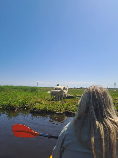 Amsterdam: Countryside Bike and Kayak Guided Tour - Cycling Toward The 1792 D’Admiraal Windmill