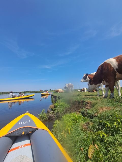 Amsterdam: Countryside Bike and Kayak Guided Tour - The Guide Makes The Difference