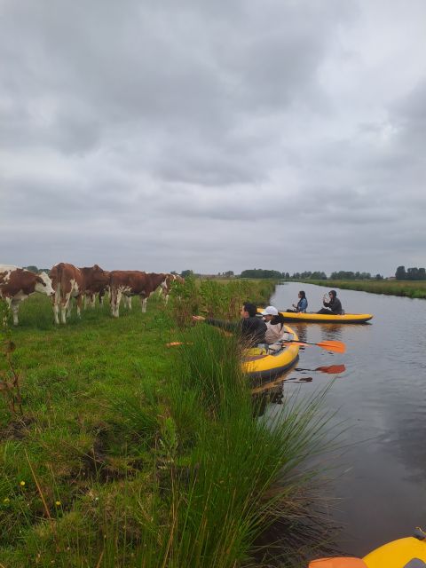 Amsterdam: Countryside Bike and Kayak Guided Tour - Meeting At A’DAM Lookout