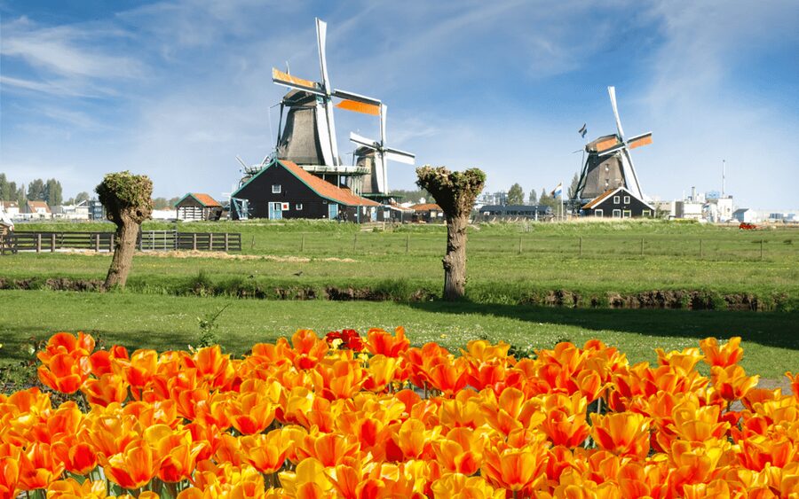 Amsterdam: Day Tour Keukenhof and Zaanse Schans Windmills - The Day Begins Across the Water at This is Holland