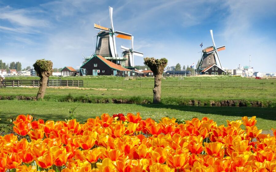 Amsterdam: Day Tour Keukenhof and Zaanse Schans Windmills - Is $72 Good Value?