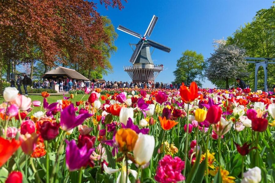 Amsterdam: Day Tour Keukenhof and Zaanse Schans Windmills - Who Will Enjoy This Day Most?