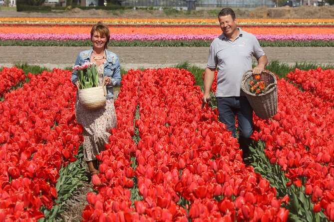 Amsterdam: Day trip to Tulip Farm, Keukenhof + Windmill Cruise - Meeting a tulip family at De Tulperij