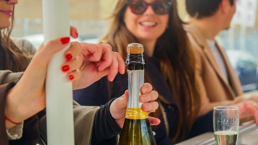 Amsterdam: Dutch Prosecco Party Bike - Starting at Rhoneweg 1 in Sloterdijk