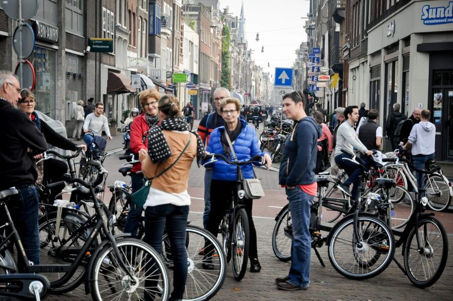 Amsterdam: Guided City Bike Tour in French - Vondelpark and the Museumkwartier