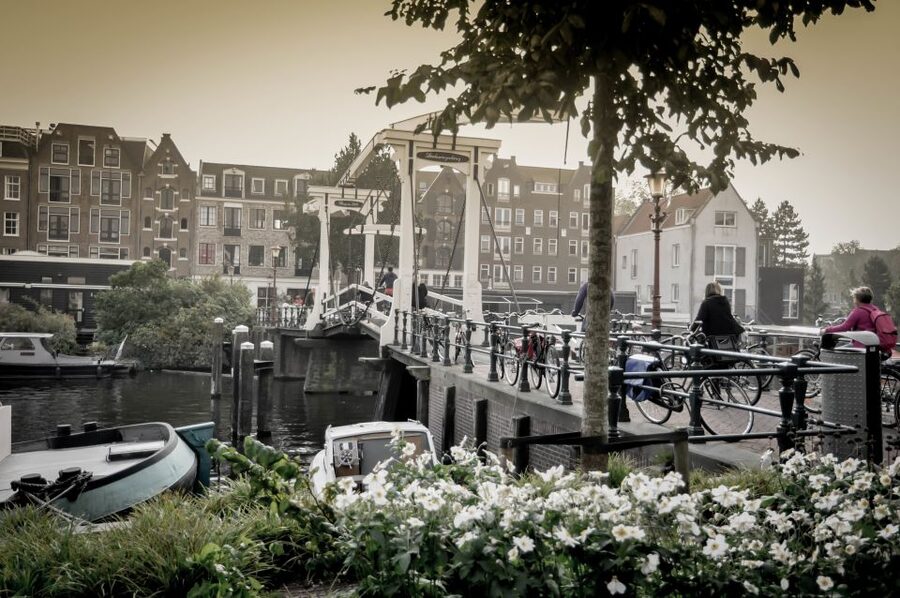 Amsterdam: Guided City Bike Tour in French - Westerdok, the Western Islands, and Amsterdam’s working waterfront