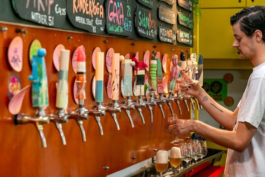 Amsterdam: Guided Craft Beer Brewery Bus Tour with Tastings - Who will enjoy this Amsterdam brewery outing