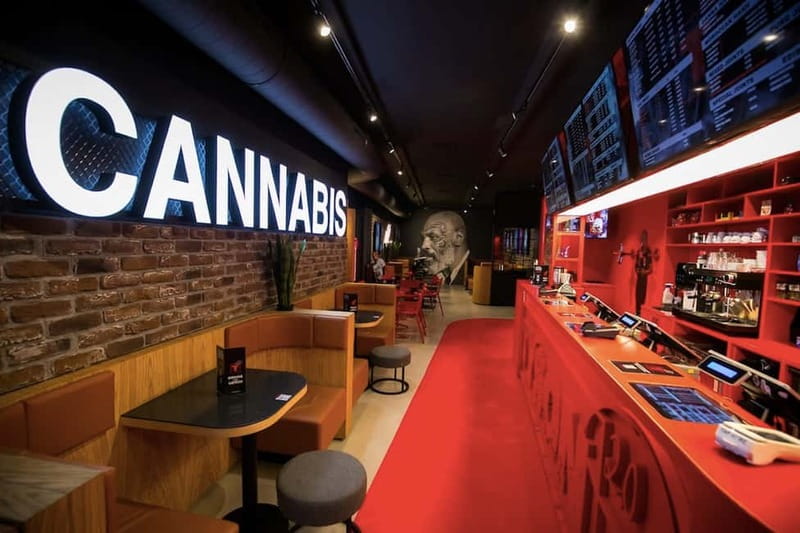 Amsterdam: Guided Ganja Walking Tour of Coffee Shops - What this Amsterdam coffeeshop walk is really about
