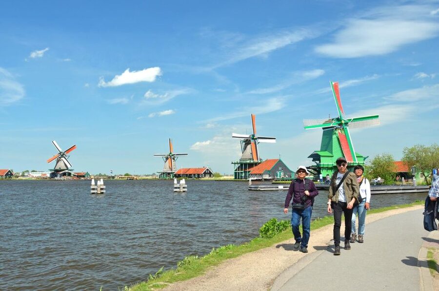 Amsterdam: Guided Zaanse Schans, Windmills & Cheese Tour - Watching clogs take shape at the Wooden Shoe Workshop