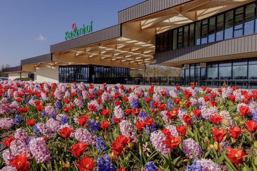 Amsterdam: Half-Day Flower Fields and Keukenhof Bicycle Tour - Why this tour gives you two views of Dutch flowers
