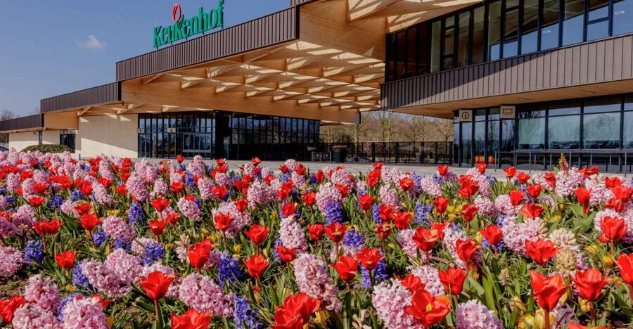 Amsterdam: Half-Day Flower Fields and Keukenhof Bicycle Tour - Meeting at Amsterdam Central Station
