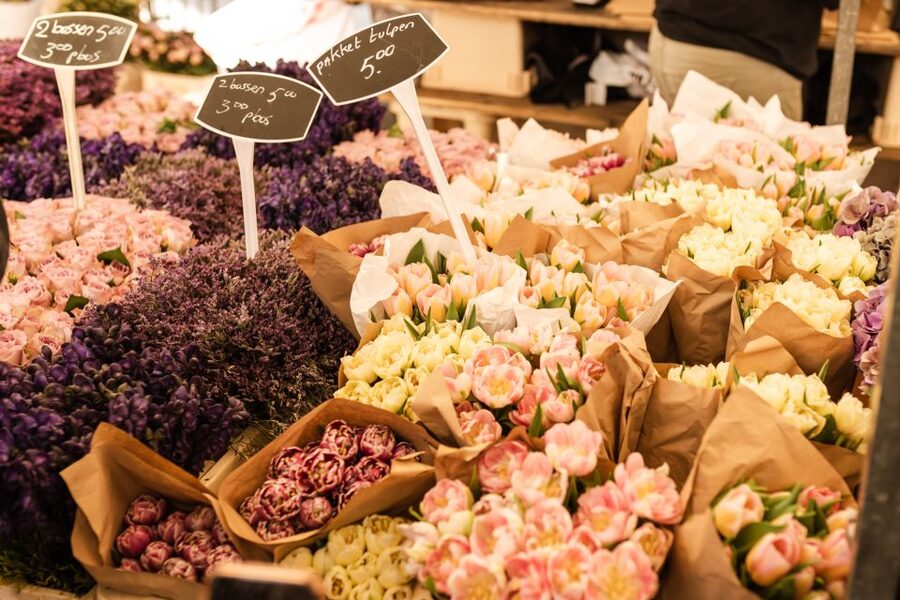 Amsterdam: Highlights & Hidden Gems Private Walking Tour - Choosing three, four, six, or eight hours