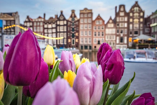 Amsterdam Highlights Walking Tour - Key points about this Amsterdam walking tour