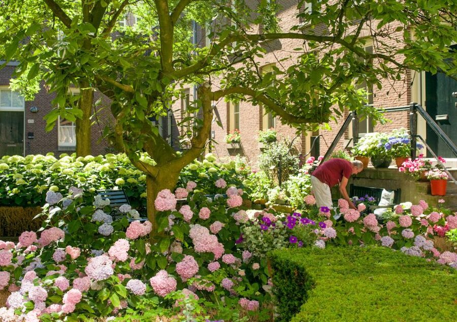 Amsterdam: Jordaan District Tour with a German guide - How the Guides Shape the Experience