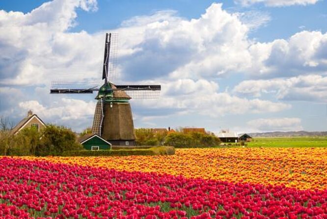 Amsterdam: Keukenhof and Zaanse Schans Windmills Guided Day Trip - Three and a half hours inside Keukenhof