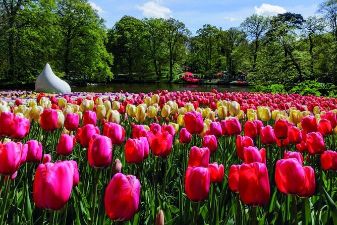 Amsterdam: Keukenhof Entry & Shuttle Bus with Flexible Return - Entering Keukenhof and choosing your own route