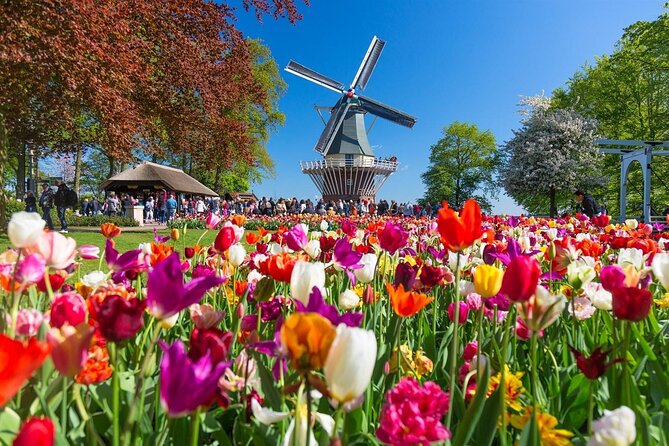 Amsterdam: Keukenhof Entry & Shuttle Bus with Flexible Return - The coach ride through Dutch flower country