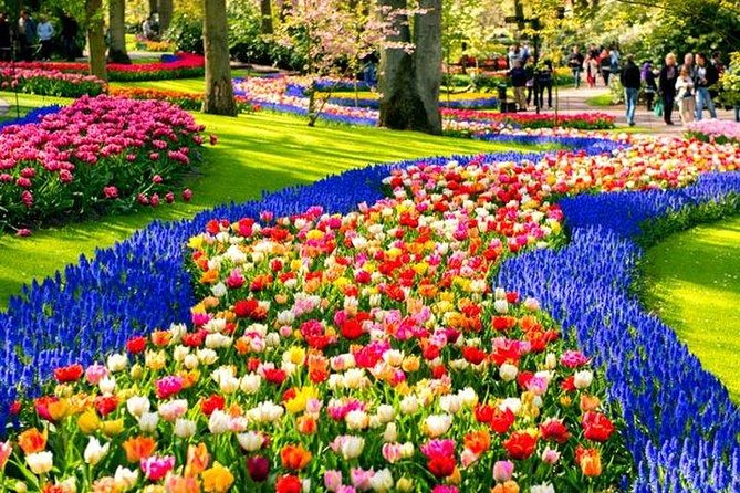 Amsterdam : Keukenhof FlowerFarm Privatetour Skip-The-Line ticket - De Tulperij gives the day a farm connection