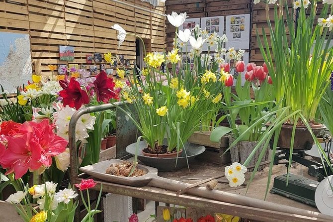 Amsterdam : Keukenhof FlowerFarm Privatetour Skip-The-Line ticket - What the private guide adds