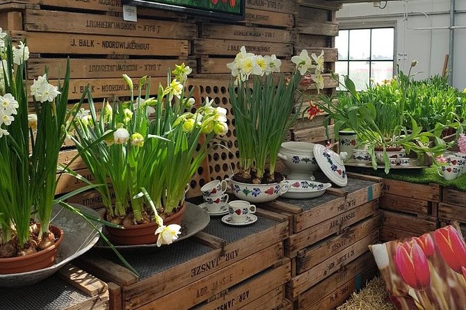 Amsterdam : Keukenhof FlowerFarm Privatetour Skip-The-Line ticket - Timing, crowds, and the best season strategy