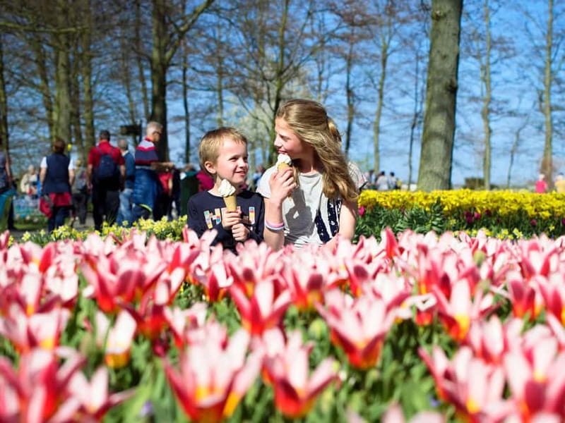 Amsterdam: Keukenhof Ticket and Roundtrip Shuttle Transfer - Key points to know before you go