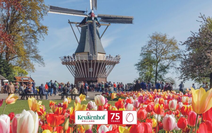 Amsterdam: Keukenhof Ticket and Roundtrip Shuttle Transfer - FAQ
