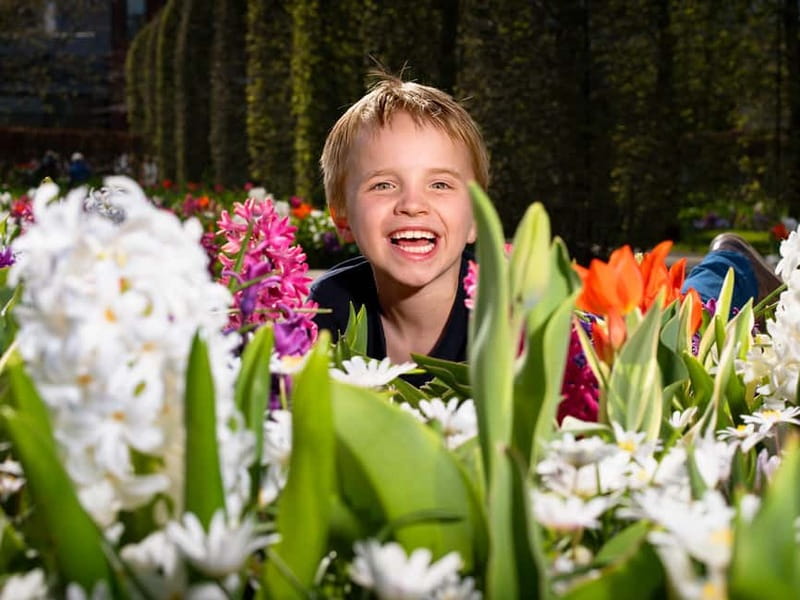 Amsterdam: Keukenhof Ticket and Roundtrip Shuttle Transfer - Entering Keukenhof with a full day to explore
