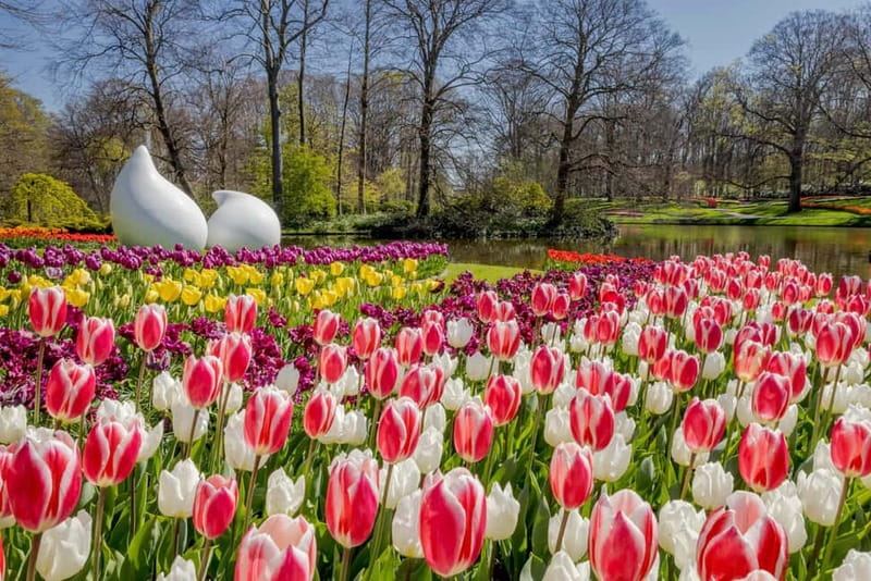 Amsterdam: Keukenhof Ticket and Roundtrip Shuttle Transfer - Choosing the right season for the flowers