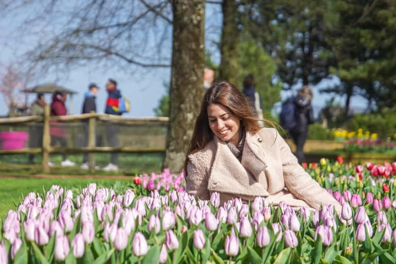Amsterdam: Keukenhof Ticket and Roundtrip Shuttle Transfer - Returning to Amsterdam when you are ready