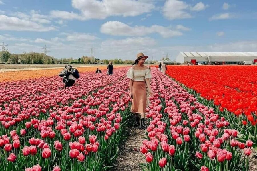 Amsterdam: Keukenhof, Tulip Farm Full-Day Tour with Cruise - Key points at a glance